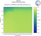 Time series of Eastern Ross Sea Deep Salinity vs depth